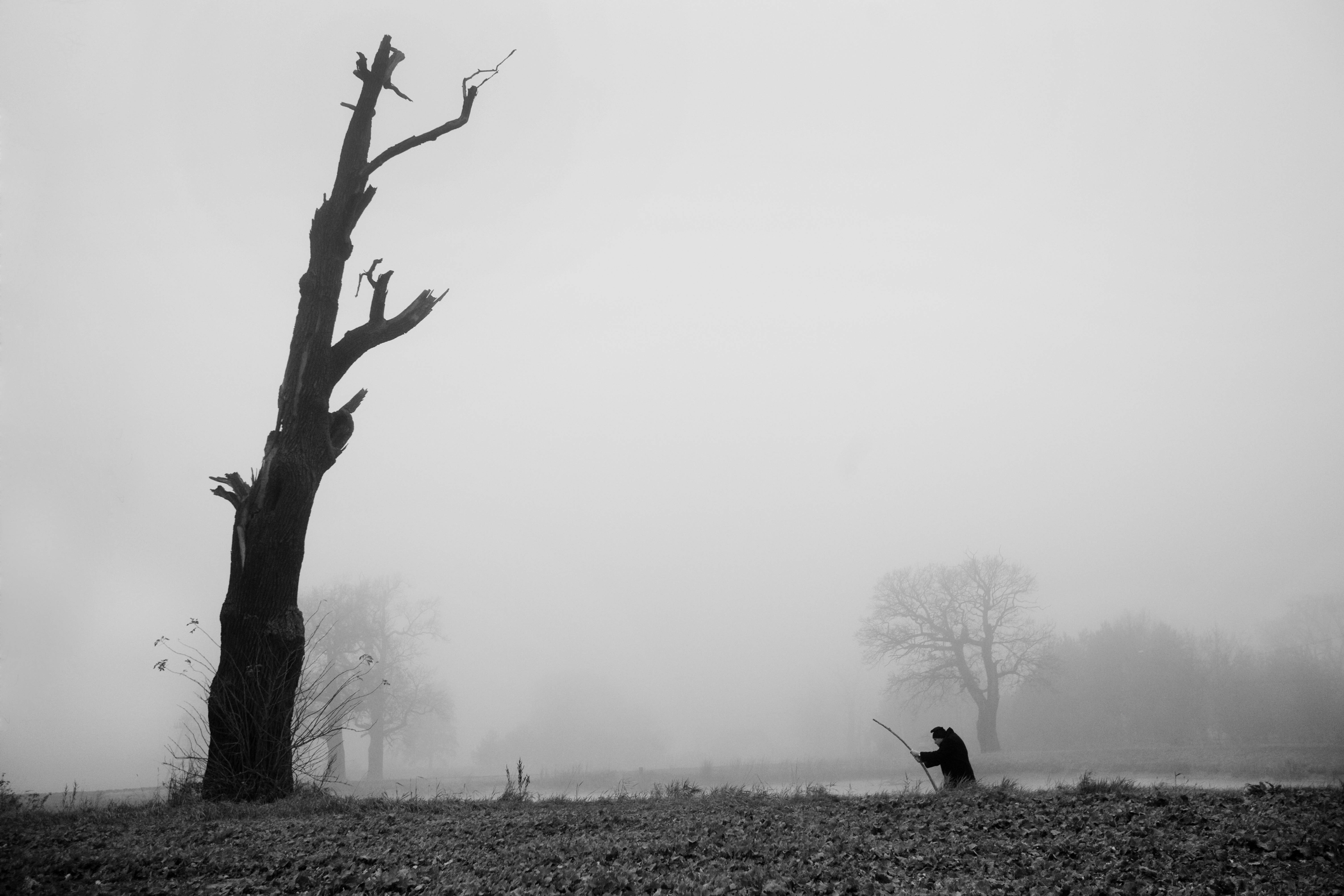 Ganadora Camino de Santiago: On the way of thanksgiving and gratitude de Jacek Cislo.