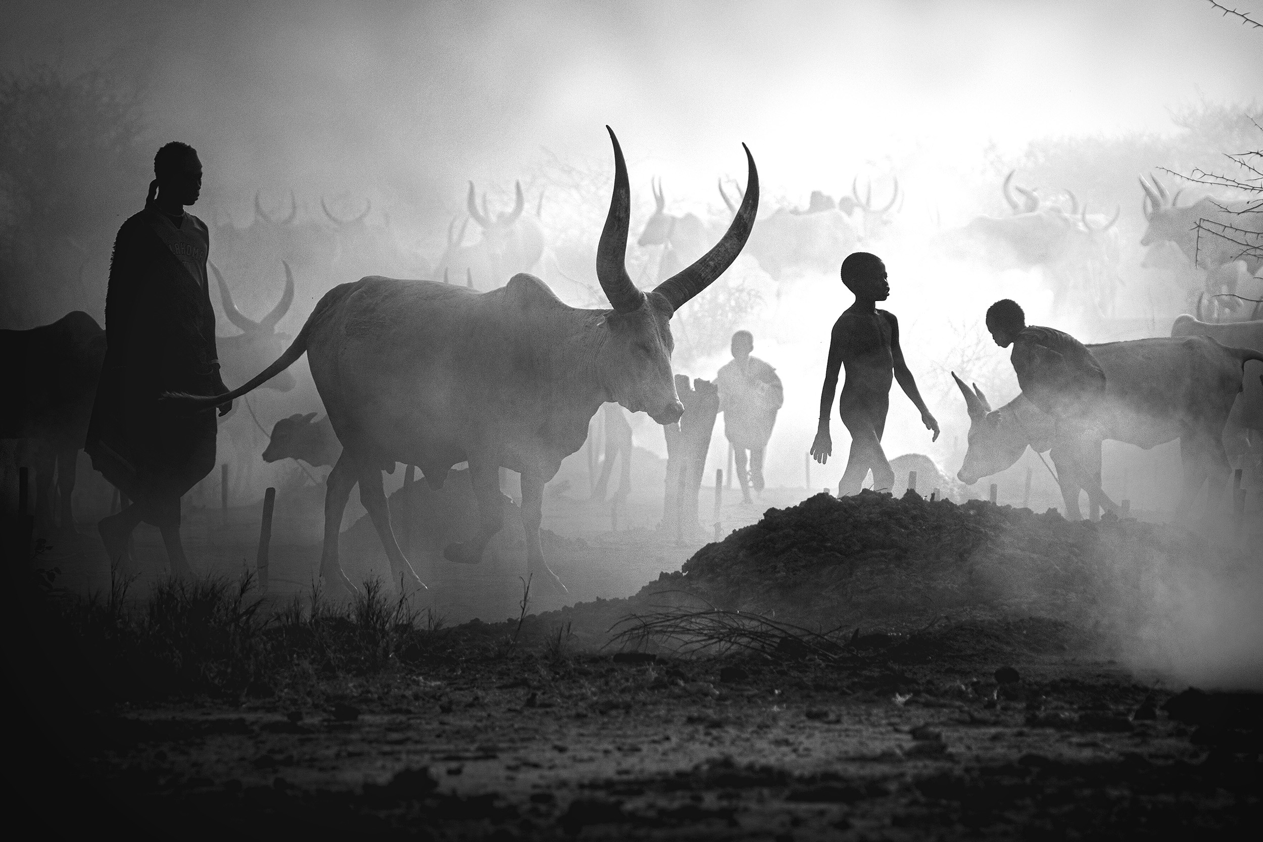 Ganadora Viajes: Mundari cattle camp de Svetlin Yosifov.