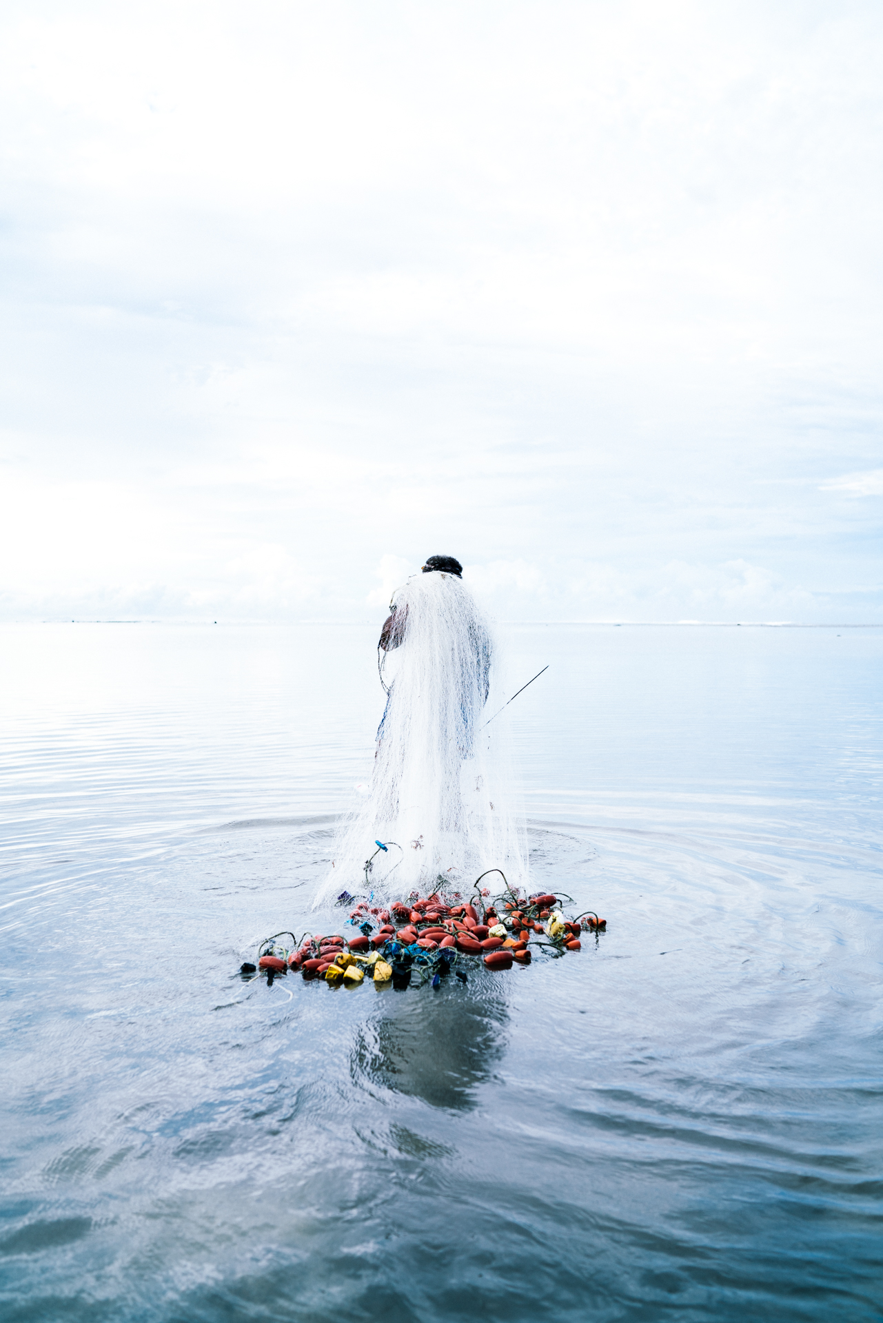 Tel un Insulaire - Valentin Valette
