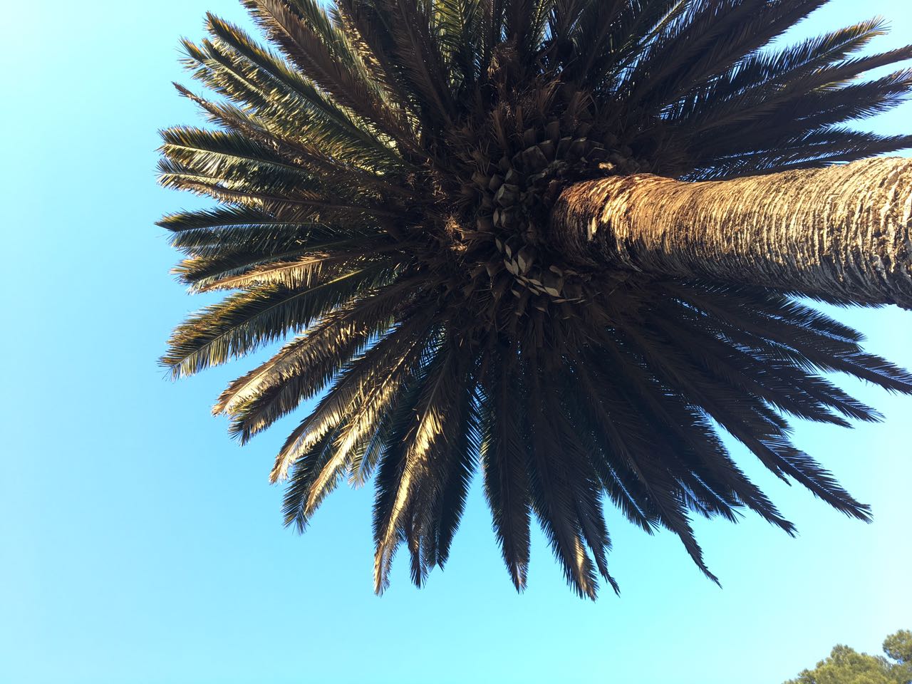 Fotografía Juliana Stern