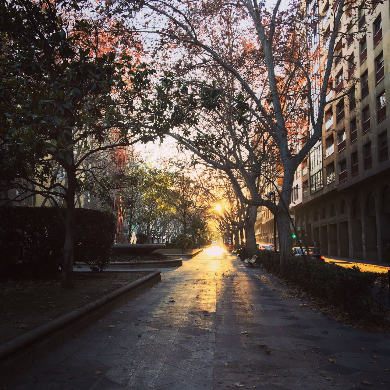 Fotografía de Juliana Stern