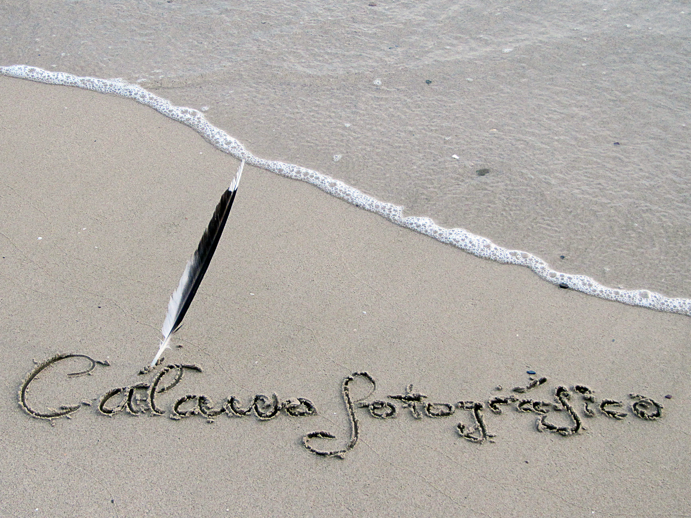 Pluma en la playa escribiendo Cálamo Fotográfico